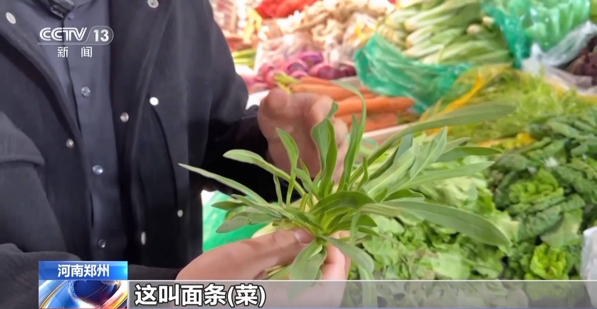 蒸、煎、拌、酿……一口鲜菜如何“锁”住春天<strong></p>
<p>比特儿是假平台吗</strong>?